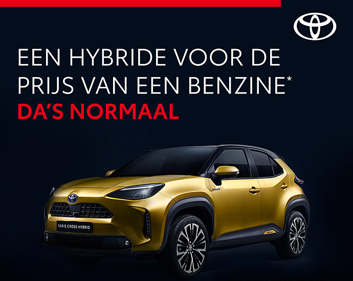 Toyota - Hoe Toyota uitzonderlijk presteerde in een dalende en complexe markt